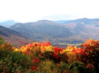 And The Leaves Drift Down, One By One | Maine Crime Writers - Vimarsana News