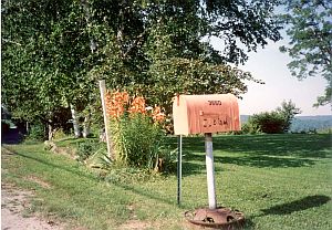 About Lilacs – Stolen from The Orange Mailbox | Maine Crime Writers - Vimarsana News