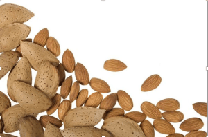 Maybe it's Almonds, Maybe it's Not by BJ Magnani - Vimarsana News