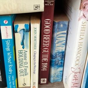 Gimme a Ticket for an Aeroplane by Anne Britting Oleson - Vimarsana News