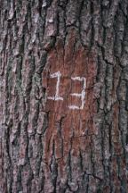 Triskaidekaphobia by Kait Carson | Maine Crime Writers - Vimarsana News