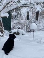 Gifting. No Wrapping Necessary. | Maine Crime Writers - Vimarsana News